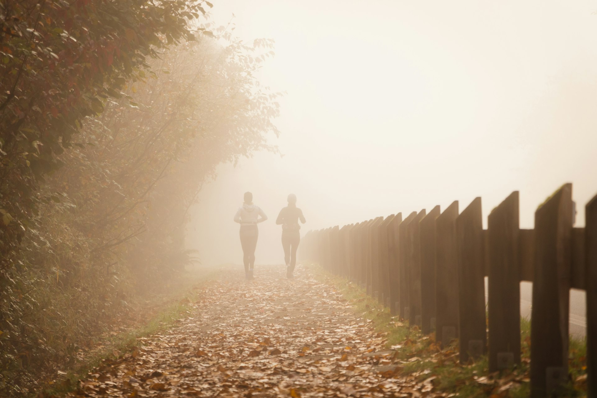 Two runners disappearing into golden autumn fog along a leaf-strewn path.